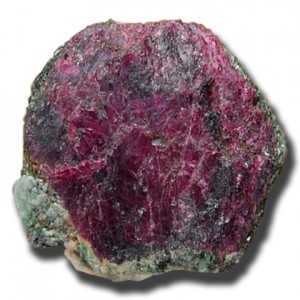 con-heo-da-ruby
