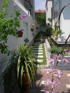 Trồng cây xanh trong vườn theo đúng thuật phong thủy